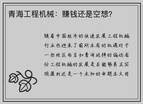 青海工程机械：赚钱还是空想？